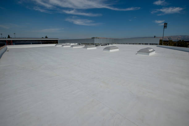 Steel Roofing in Buena Vista, VA