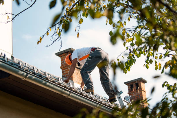 Best Solar Panel Roofing Installation  in Buena Vista, VA