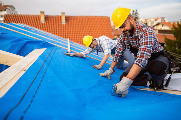 Best Roofing for New Construction  in Buena Vista, VA