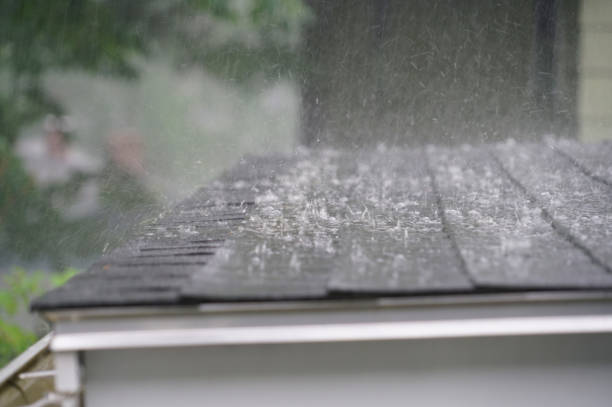 Best Rubber Roofing (EPDM, TPO)  in Buena Vista, VA